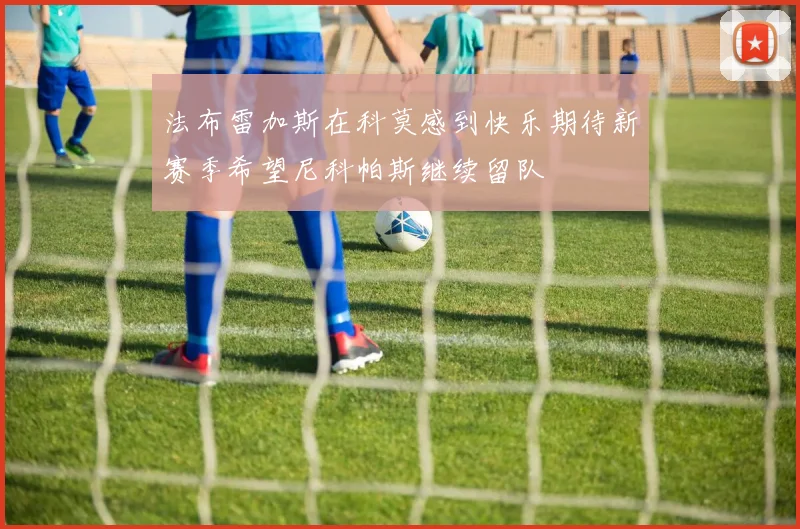 法布雷加斯在科莫感到快乐期待新赛季希望尼科帕斯继续留队